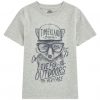 Graphic organic cotton T-shirt KH01