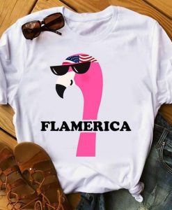 Flamerica T Shirt SR01