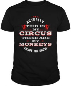 Meme Funny My Circus T-shirt DV01