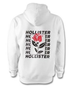 Hollister Hoodie EM29