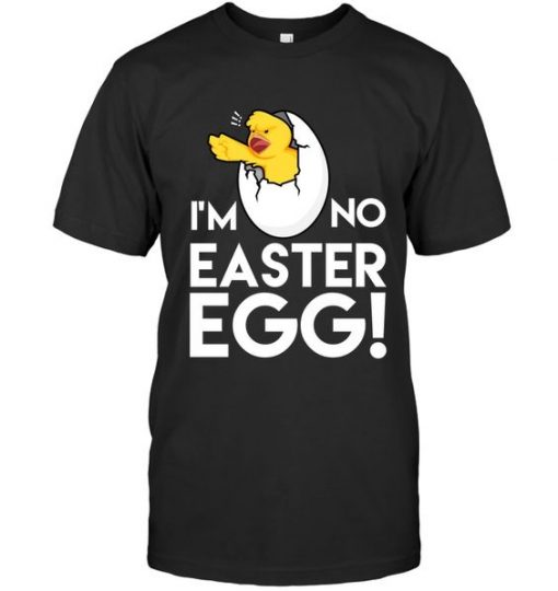 Easter Chick T Shirt N23SR