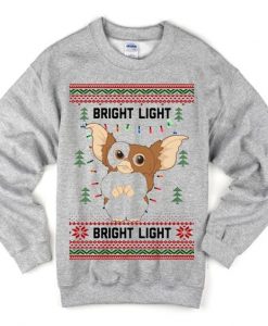 bright light sweatshirt AY21N