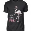 Pink Flamingo T Shirt SR6D