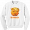 Trumpkin Halloween Sweatshirt AL3S0