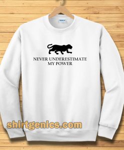 never underestimate my power Sweatshirt